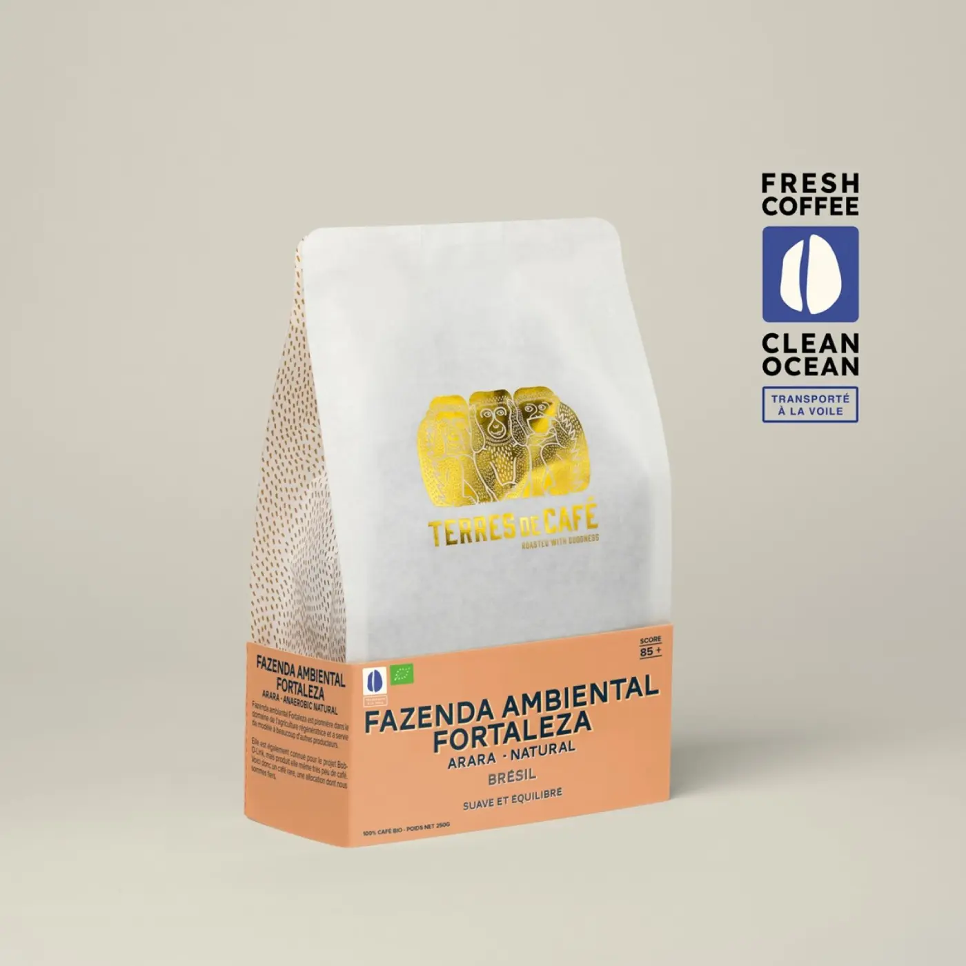 Café Fazenda Ambiental Fortaleza Arara - Natural | Café de spécialité | Vente en Ligne