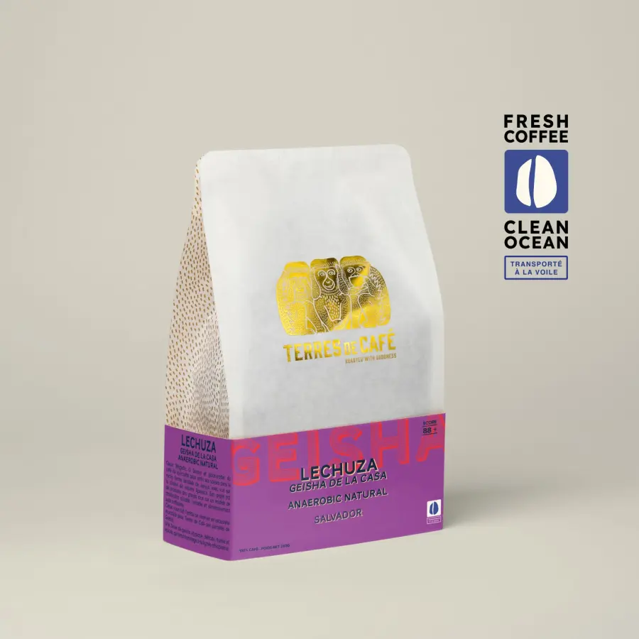Specialty coffee in beans or ground | Coffee Lechuza Geisha | Buy Online