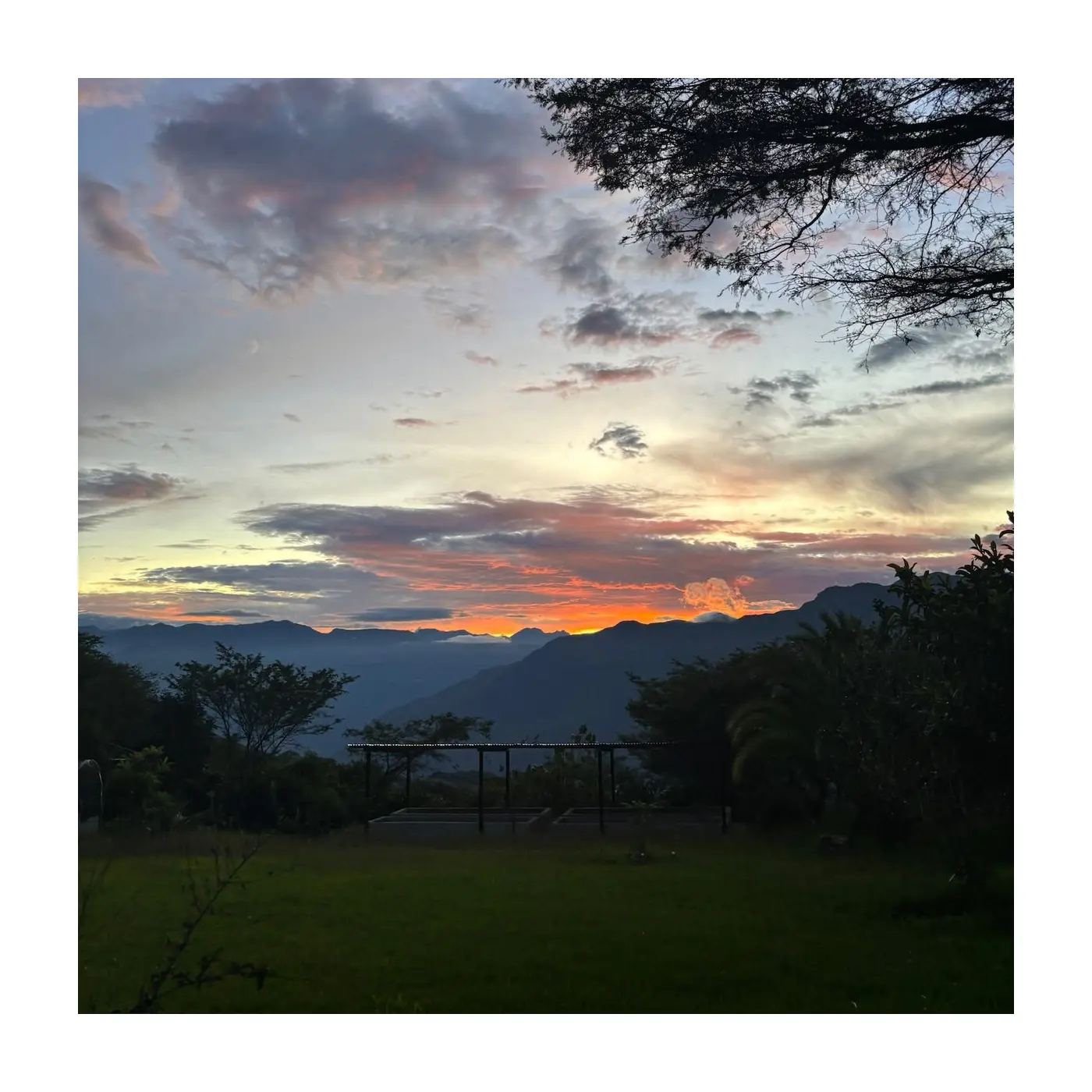 Légendes - Jose Jijón - Fincas del Putushio - Typica Merojado| Terres de Café | Vente en ligne