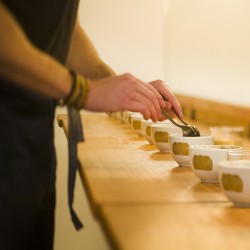 Coffee culture & Tasting -...