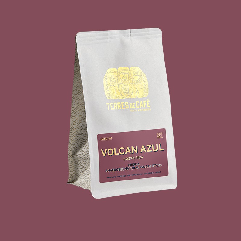 café de spécialité Terres de café - Café Volcan Azul Eucaliptos - Geisha Anaerobic Nature