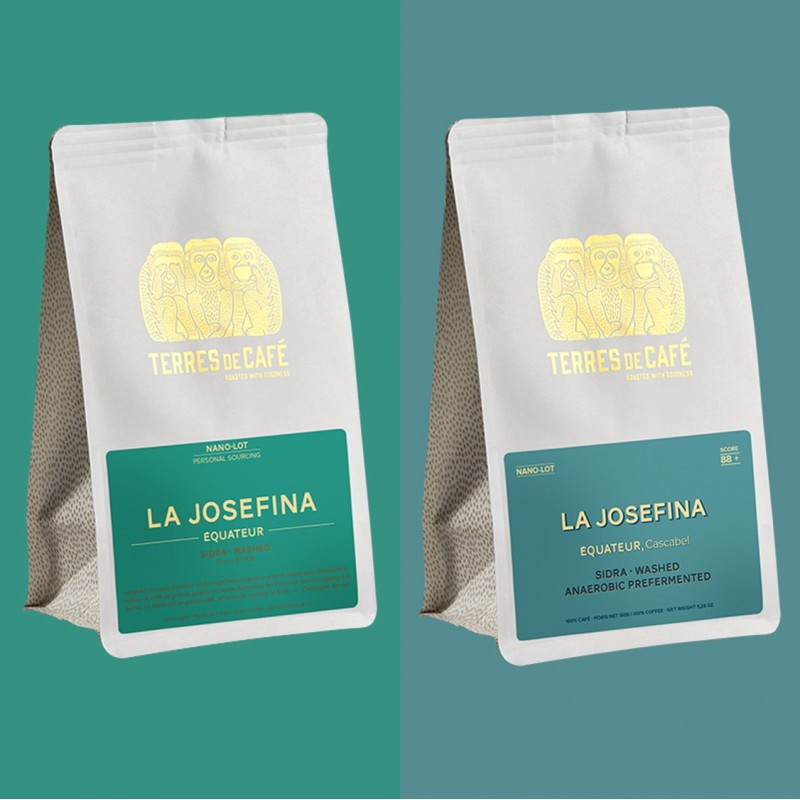 Specialty coffee by Terres de Café - Lot Josefina Sidra Washed