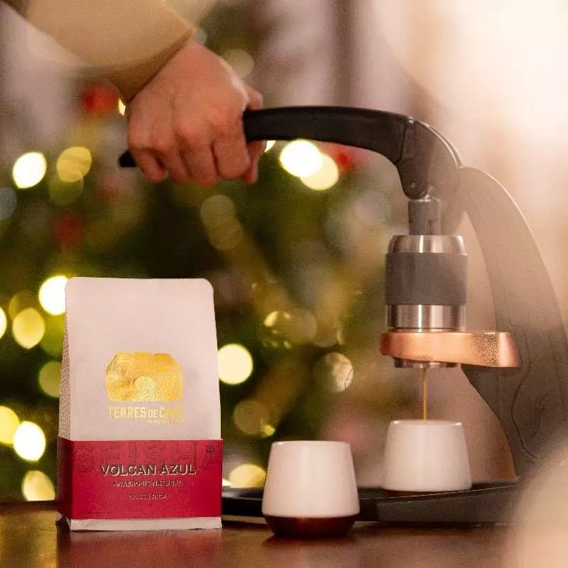Flair espresso pro online