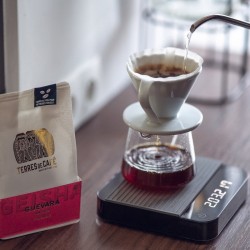 Dripper blanc V60 Céramique 02 - 1/4 Tasses HARIO Accessoires Café