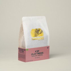 Specialty coffee by Terres de Café - Coffee KSF Old Trees