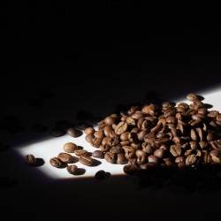 Specialty coffee by Terres de Café - Coffee Classic Espresso