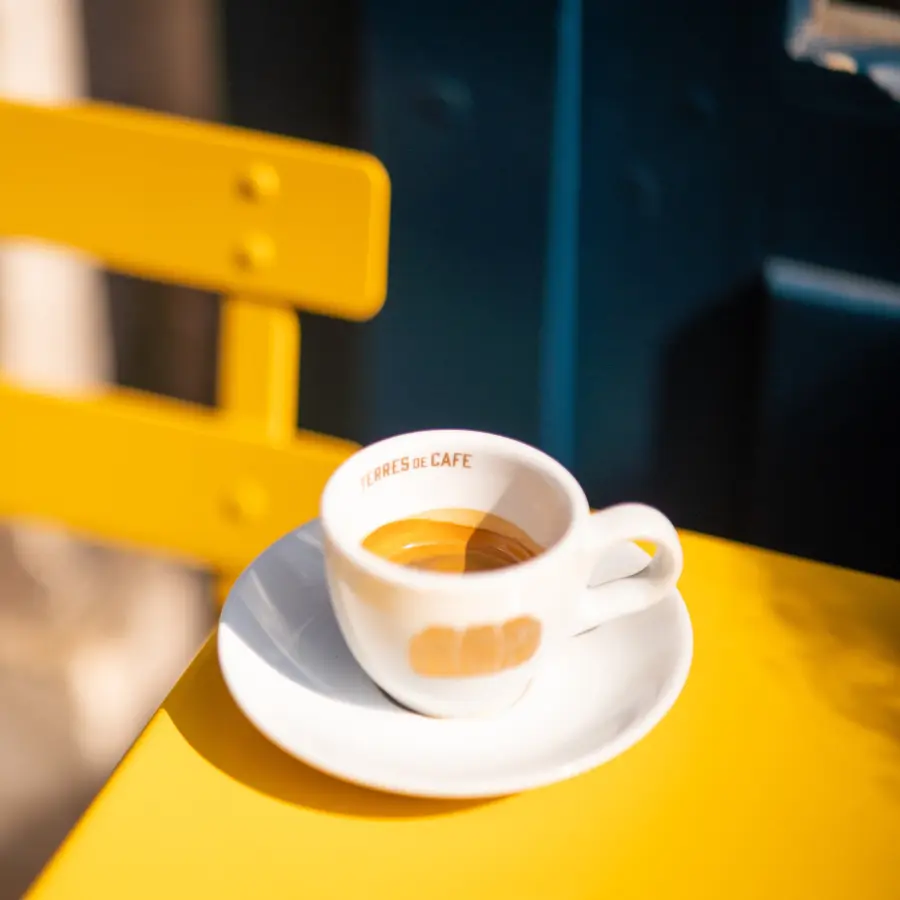 café de spécialité Terres de café - Capsules Home-Compostable Jaen décaféiné Bio x 10