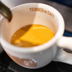 Specialty coffee by Terres de Café - Coffee El Cuto