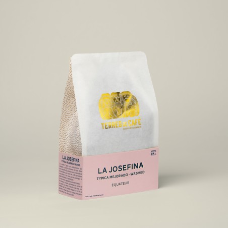 café de spécialité Terres de café - Café La Josefina - Typica Mejorado Lavé