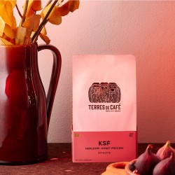 Specialty coffee by Terres de Café - Coffee KSF Heirloom Honey