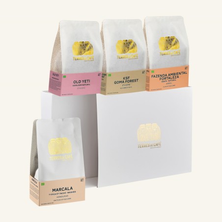 Specialty coffee by Terres de Café - Organic & Sustainable EXP Coffee Collection