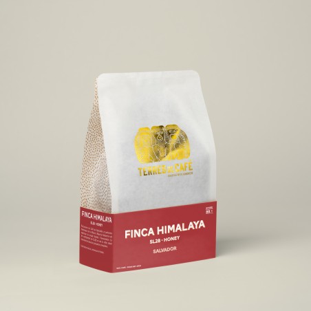 Specialty coffee by Terres de Café - Coffee Finca Himalaya - SL28