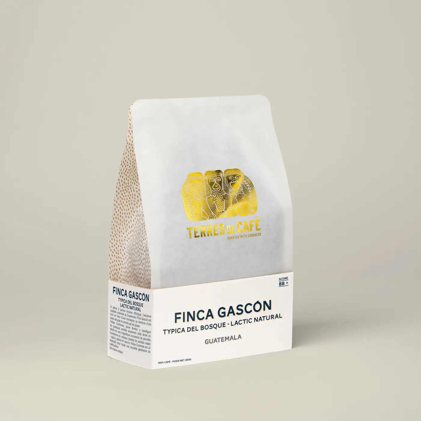 Photo of CAFÉ FINCA GASCÓN TYPICA DEL BOSQUE LACTIC NATURAL