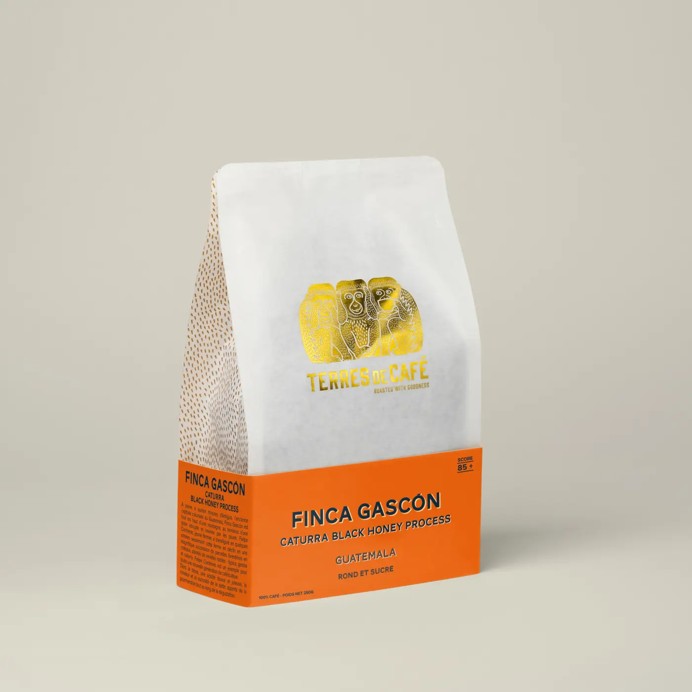 Photo of CAFÉ FINCA GASCÓN CATURRA BLACK HONEY PROCESS