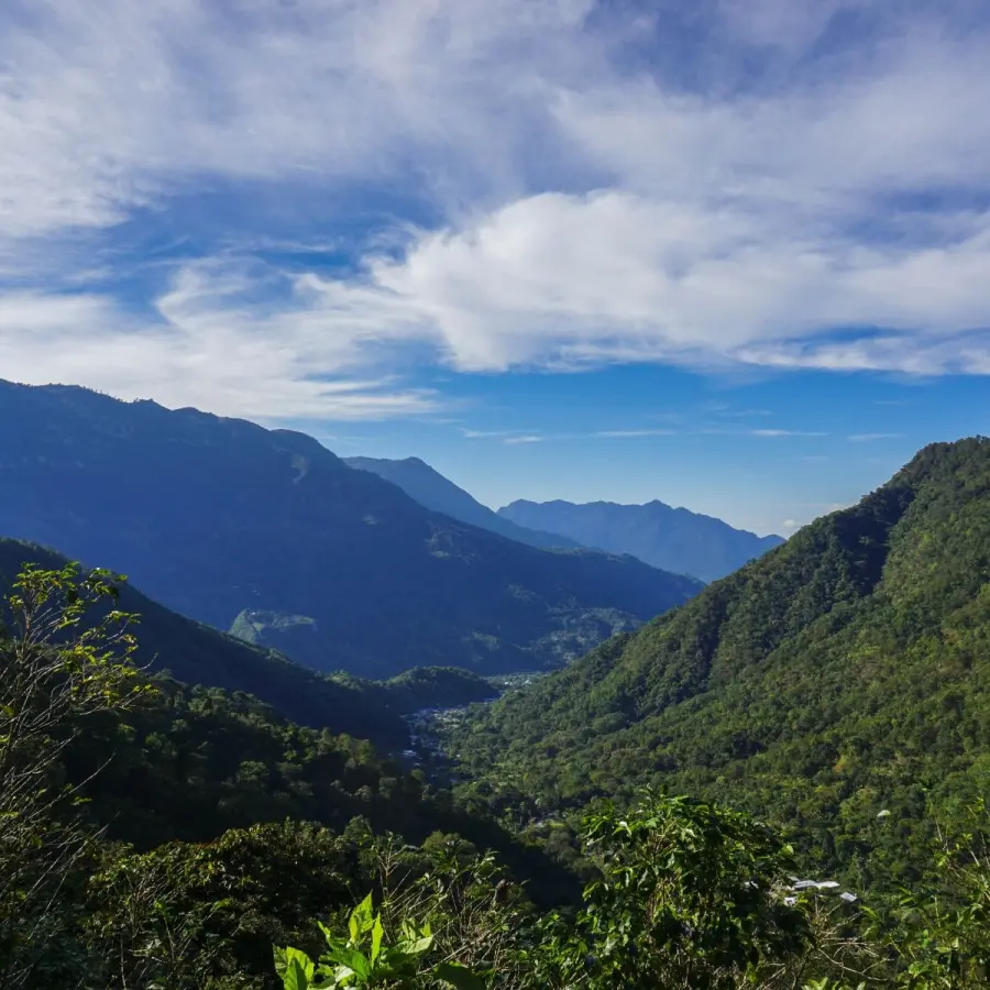 Specialty Coffee | Coffee Marcelino Peréz - Natural | Buy Online