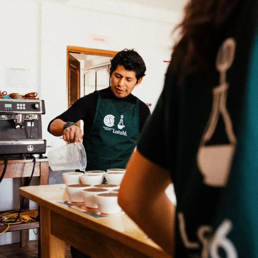 Specialty Coffee I Café Felix Project Caranavi - kg | Online Sales