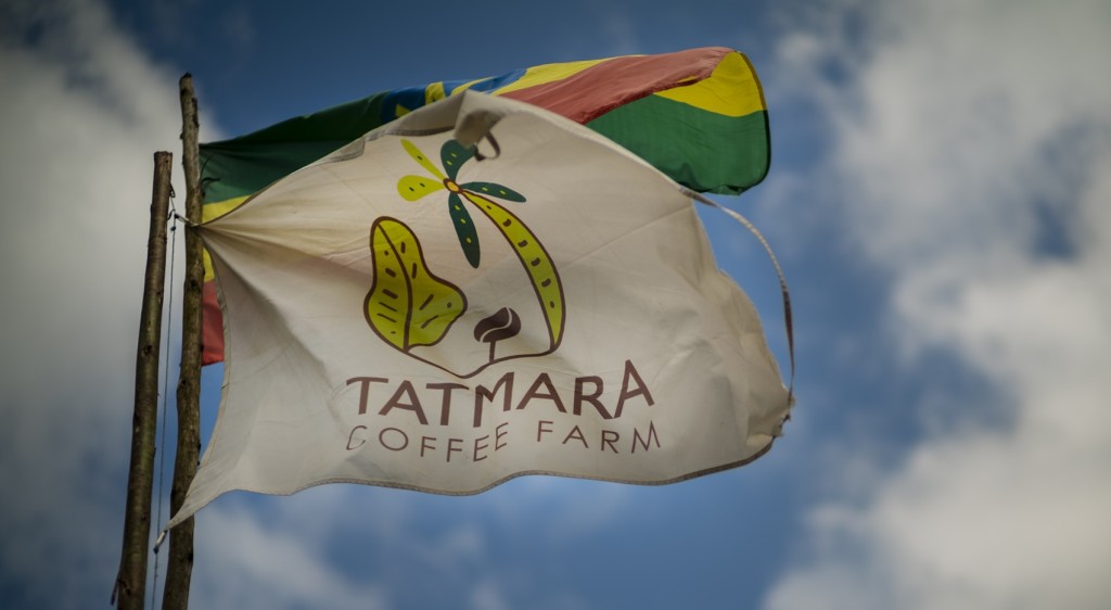 Tatmara, Ethiopie, ferme exemplaire