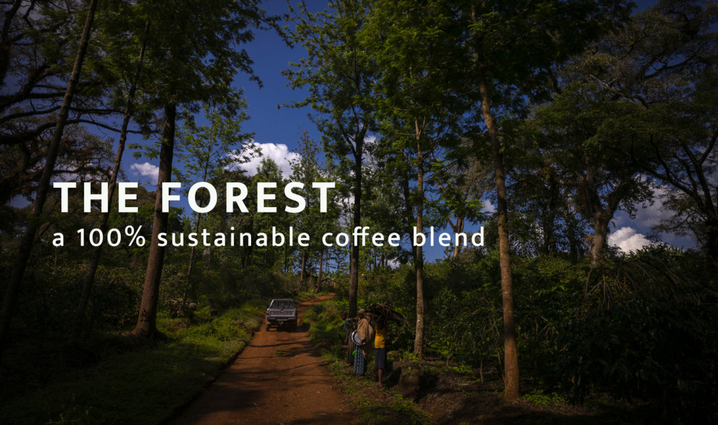 THE FOREST, a 100% sustainable coffee blend