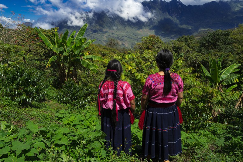 HIGH CHIAPAS