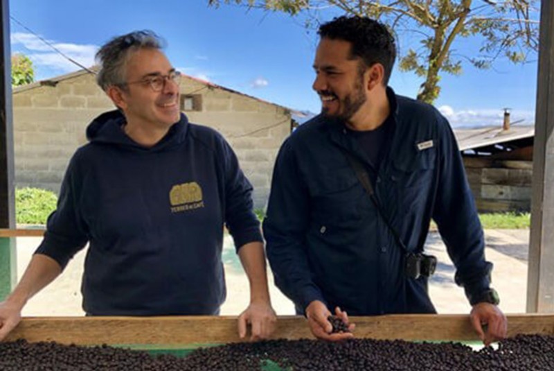 Cafeologia, Terres de Café,  a knowledge economy in the specialty coffee sector