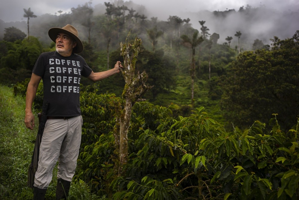 Terres de Café et l'Equateur : une vieille histoire
