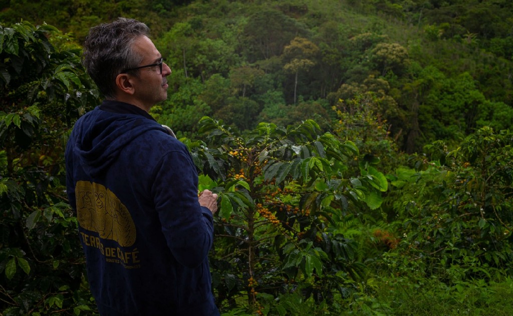 Podcast : À la découverte du Bourbon Rose, Colombie 2018 (6/12)