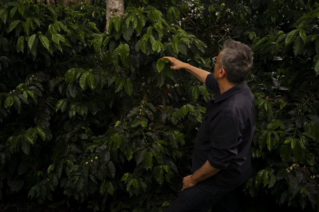 Podcast A l'Origine : les Sourcing Cafés de Christophe Servell