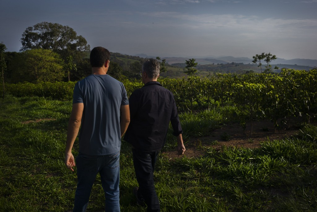 Carnet de sourcing café : Brésil, Fazenda Ambiental Fortaleza - Septembre 2022