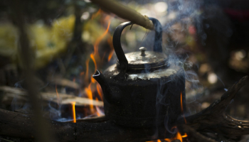 The exciting story of coffee