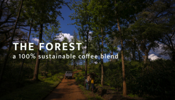 THE FOREST, a 100% sustainable coffee blend