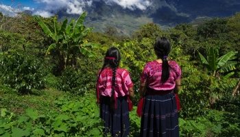 CHIAPAS HIGHLANDS