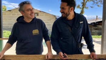 Cafeologia, Terres de Café, une économie de la connaissance en filière caféière 