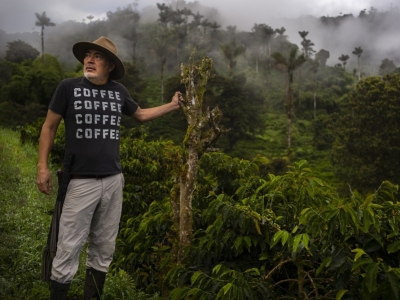 Terres de Café et l'Equateur : une vieille histoire