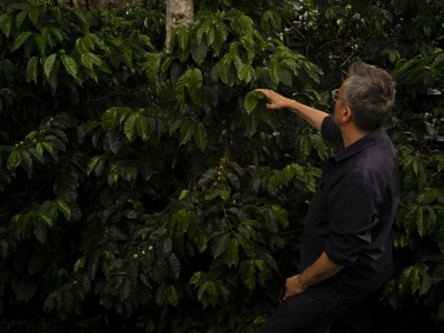 Podcast A l'Origine : les Sourcing Cafés de Christophe Servell