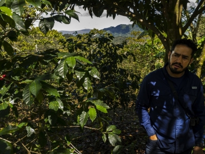 Podcast : Dans les hauteurs du Chiapas avec Jesus Salazar, Mexique (10/12)