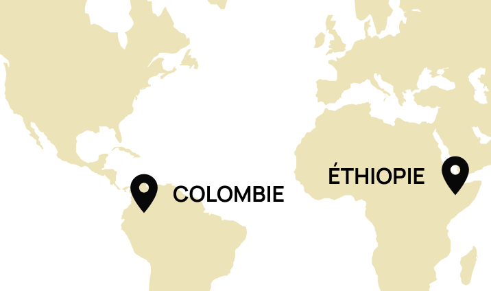 Origine Ethiopie, Colombie