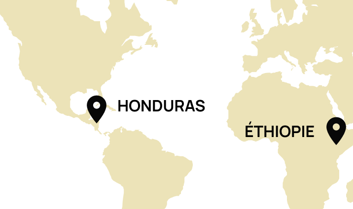 Origine Ethiopie, Honduras