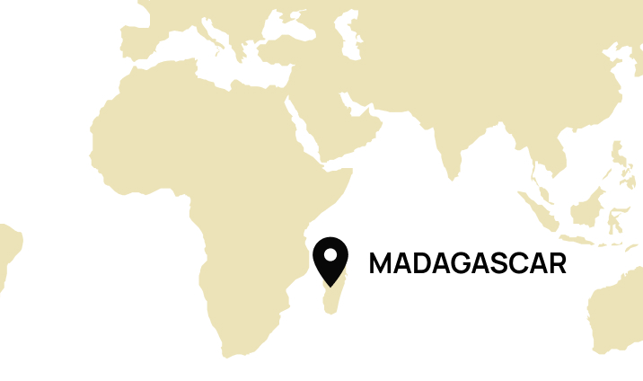 Origine Madagascar